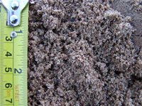 Mur- och putssand 0/2 mm